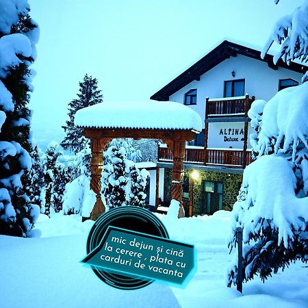 Hotel Alpina Panoramic Moisei Exteriér fotografie
