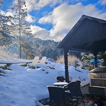 Hotel Alpina Panoramic Moisei Exteriér fotografie