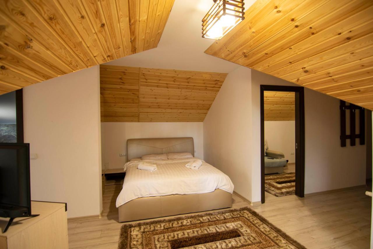 Hotel Alpina Panoramic Moisei Exteriér fotografie