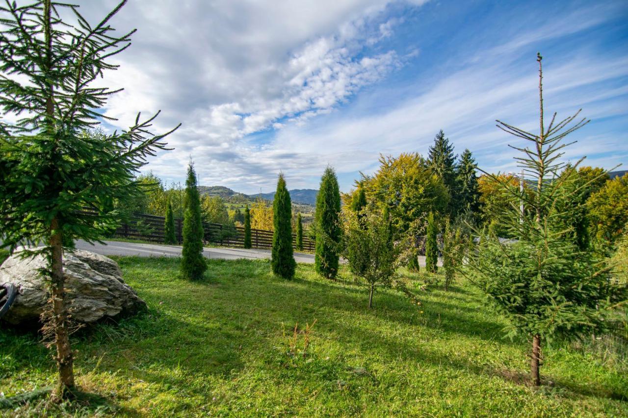 Hotel Alpina Panoramic Moisei Exteriér fotografie