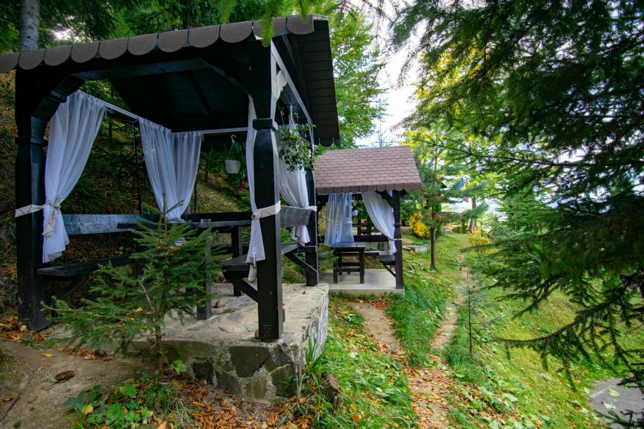 Hotel Alpina Panoramic Moisei Exteriér fotografie