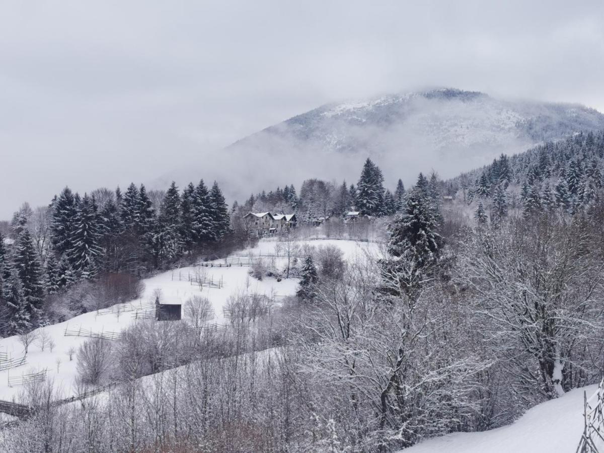 Hotel Alpina Panoramic Moisei Exteriér fotografie
