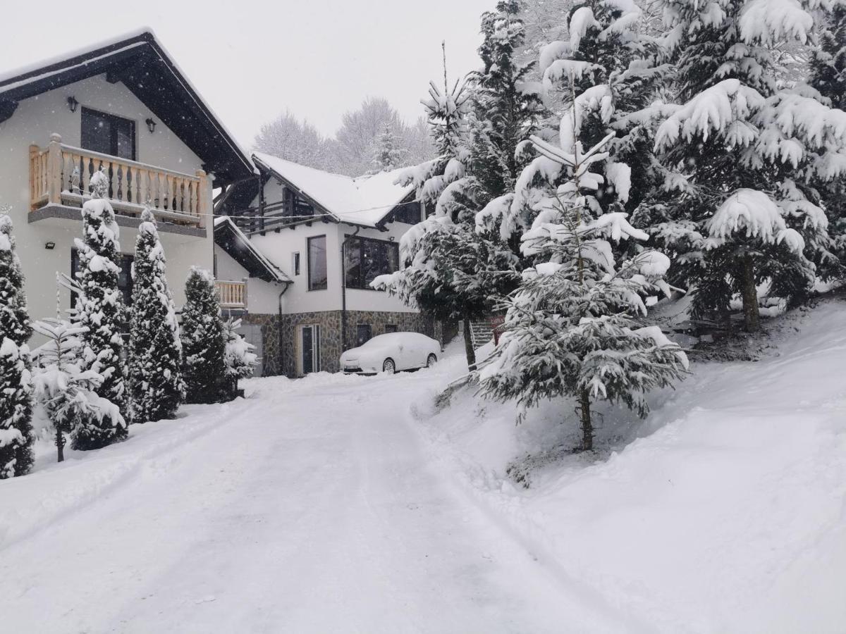 Hotel Alpina Panoramic Moisei Exteriér fotografie