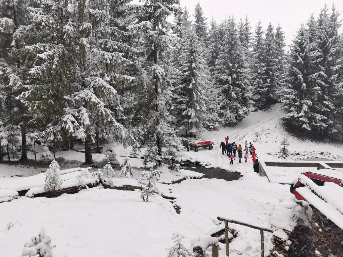 Hotel Alpina Panoramic Moisei Exteriér fotografie