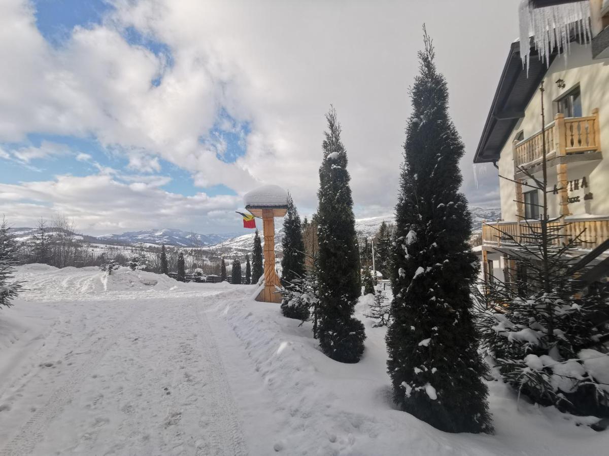 Hotel Alpina Panoramic Moisei Exteriér fotografie