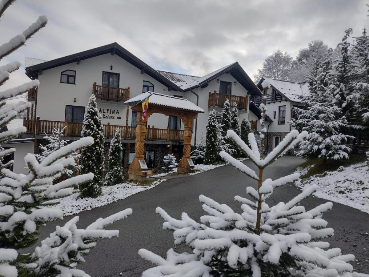 Hotel Alpina Panoramic Moisei Exteriér fotografie