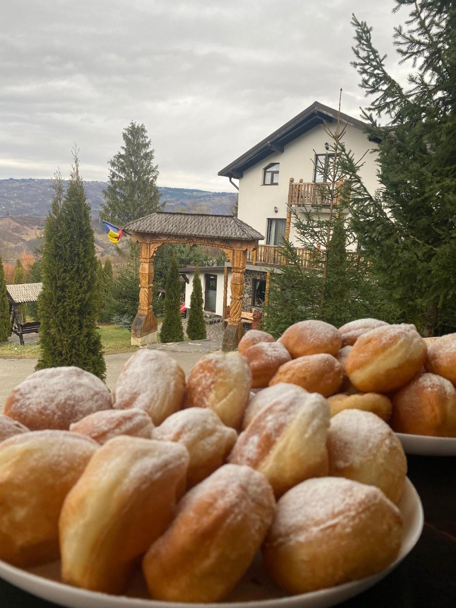 Hotel Alpina Panoramic Moisei Exteriér fotografie