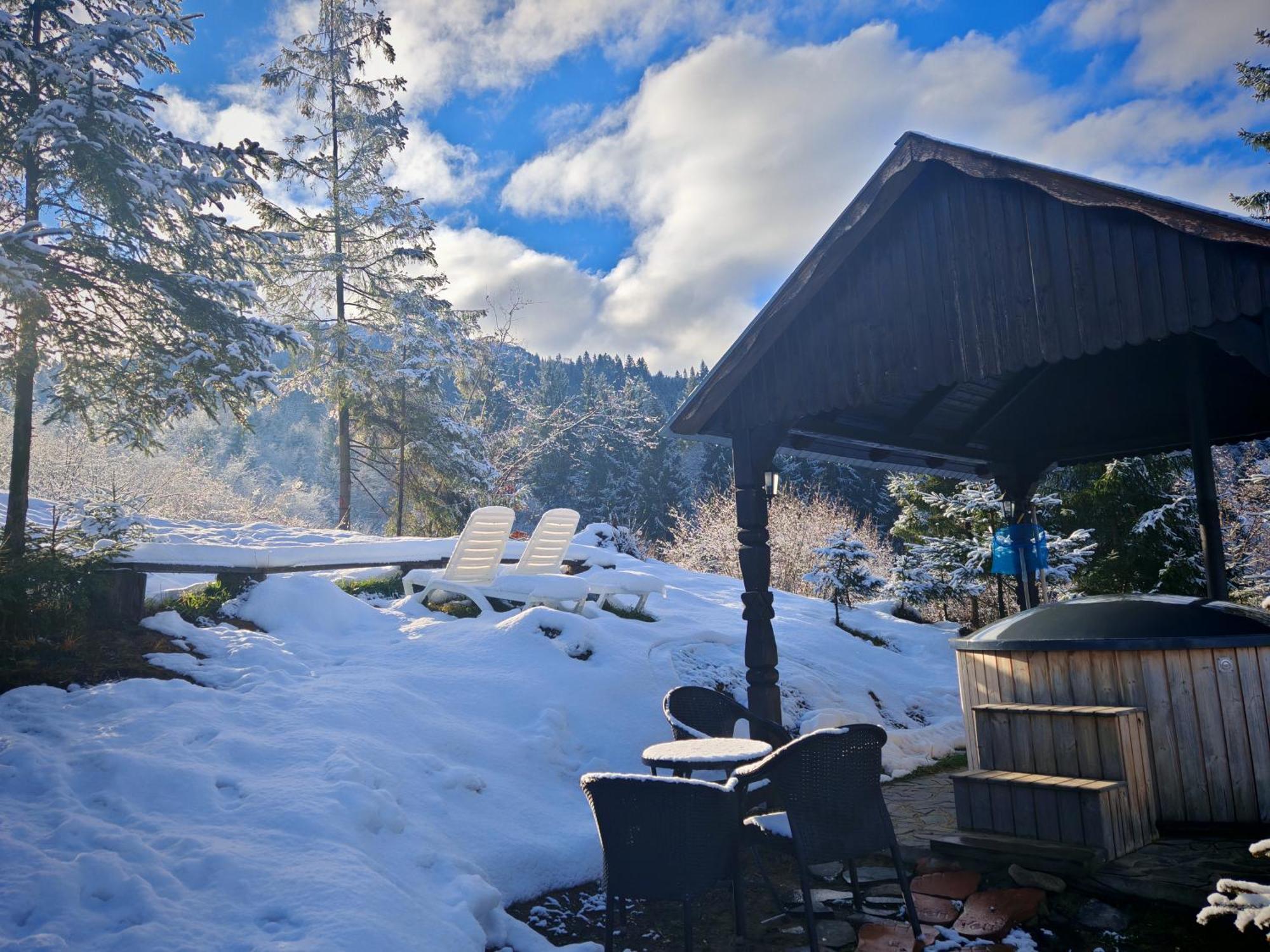 Hotel Alpina Panoramic Moisei Exteriér fotografie