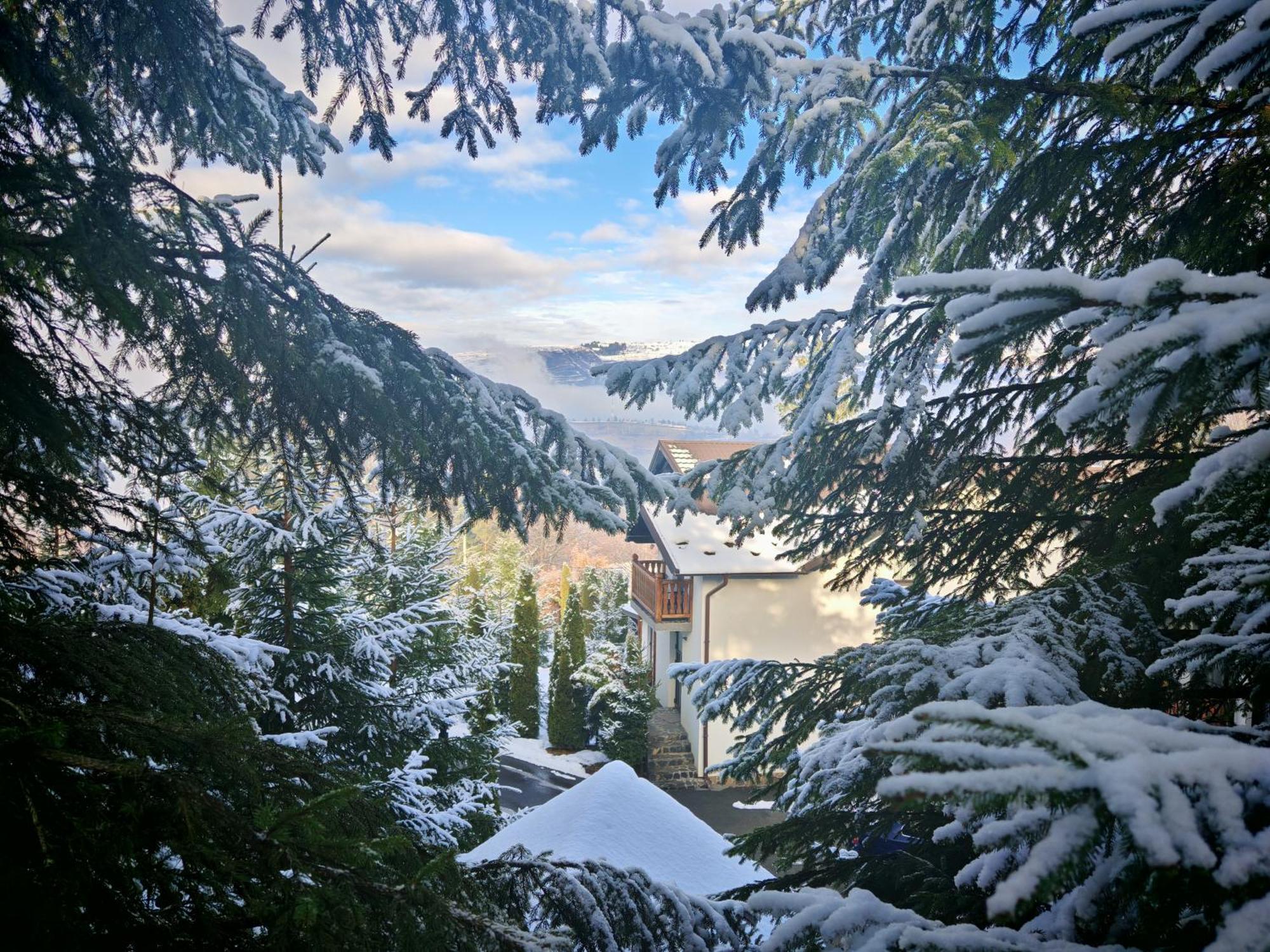 Hotel Alpina Panoramic Moisei Exteriér fotografie