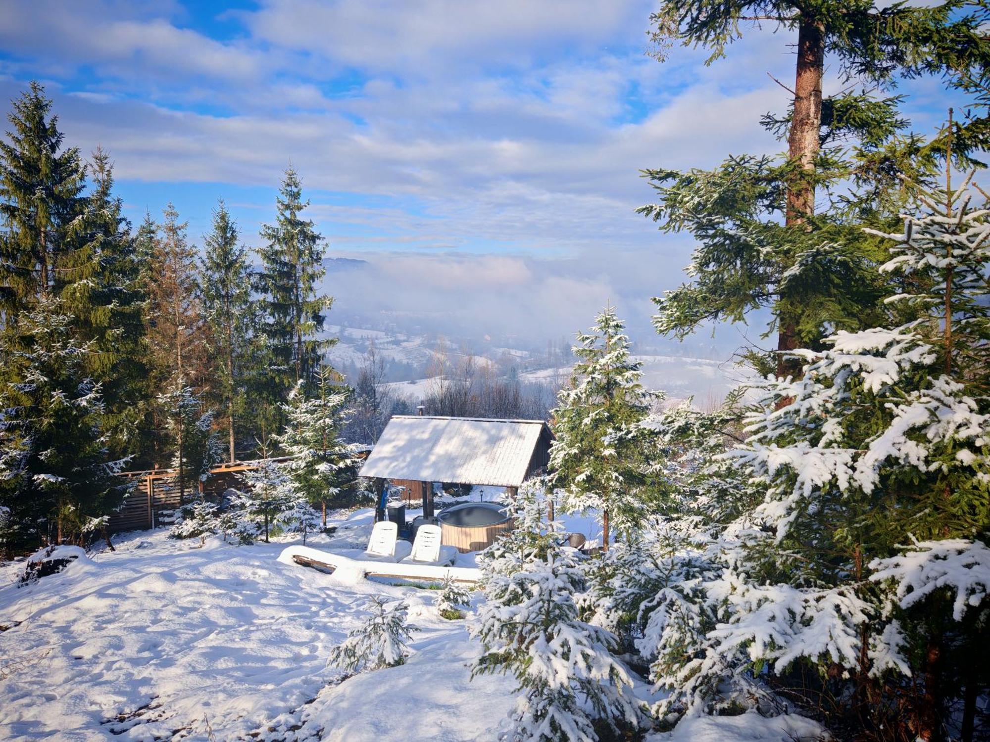 Hotel Alpina Panoramic Moisei Exteriér fotografie
