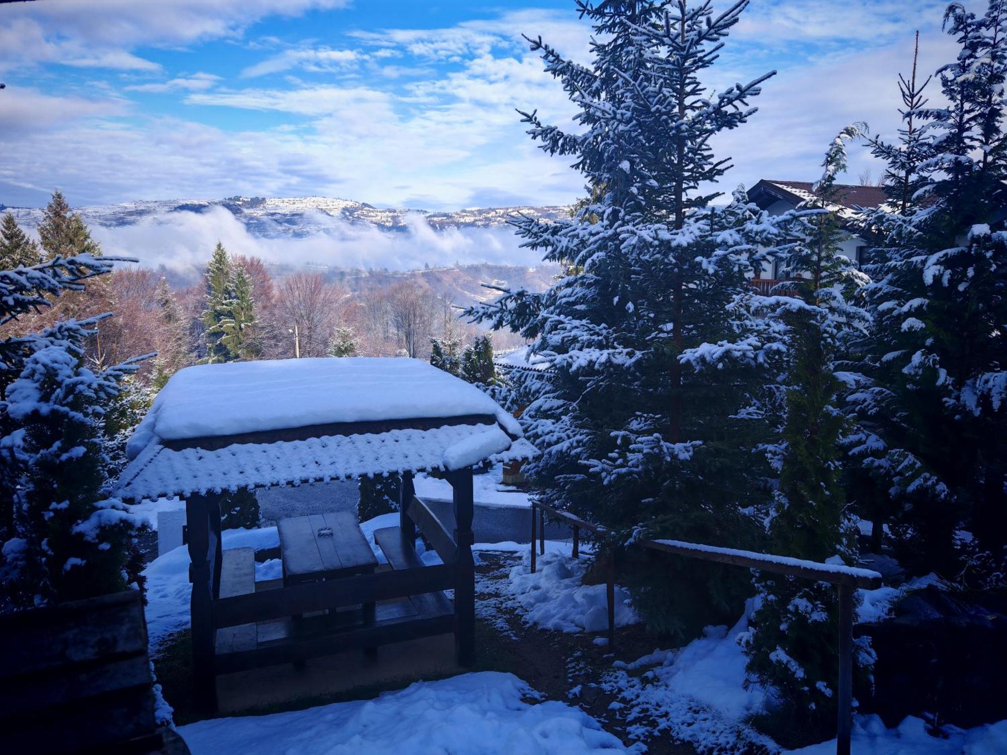 Hotel Alpina Panoramic Moisei Exteriér fotografie