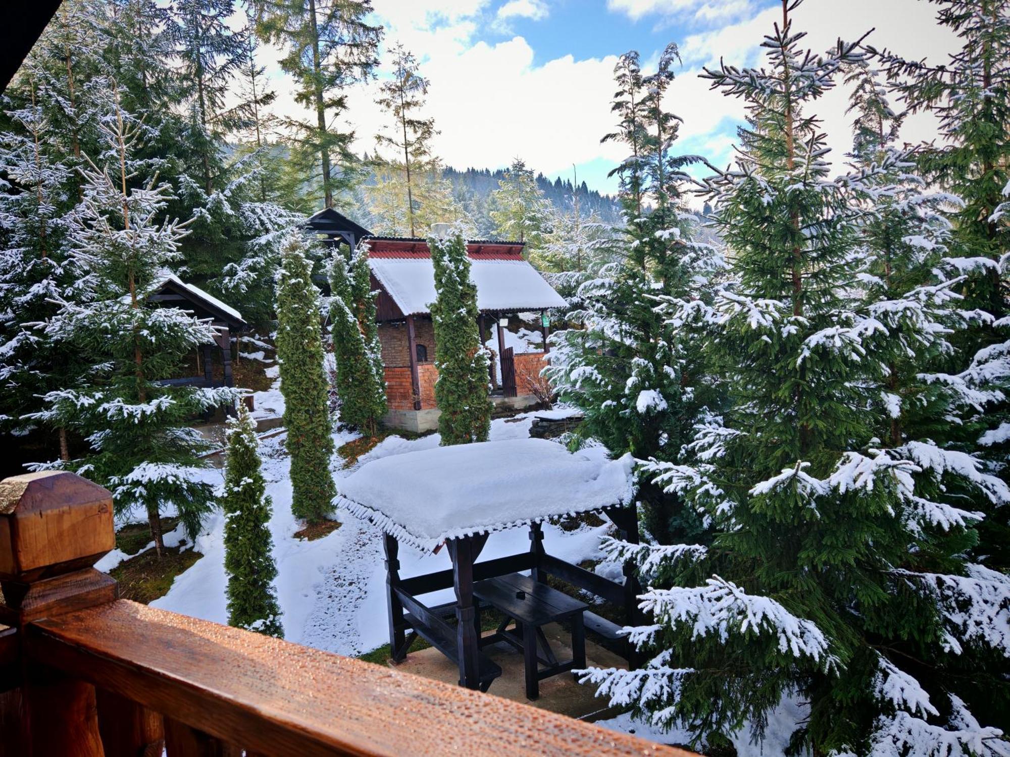 Hotel Alpina Panoramic Moisei Exteriér fotografie